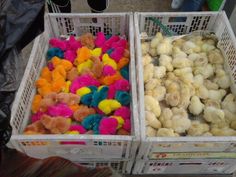 two bins filled with different colored stuffed animals in it's sides, one is white and the other is yellow