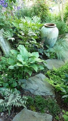 a garden filled with lots of plants and rocks