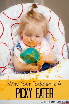 a baby in a highchair eating food with the caption why your toddler is a picky eater on the jenny evolution