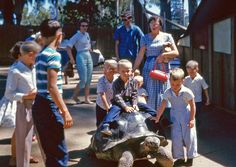 a group of people standing next to a turtle on a sidewalk in front of a building