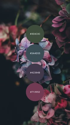 the color scheme for this website is purple, green and red with some pink flowers