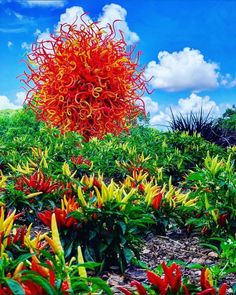 an orange and red sculpture in the middle of a field full of flowers on a sunny day