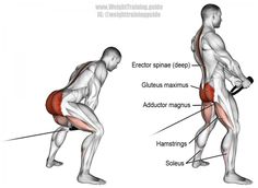 an image of a man doing exercises with dumbbells and hamstrings