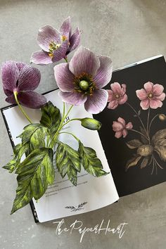 crepe paper anemone flower in purple and green and Jessica Roux's book Floriography Crepe Paper Flower Tutorial, Crepe Paper Flowers Tutorial, Crepe Paper Flower, Anemone Flowers, Flowers Tutorial, Paper Plants, Anemone Flower, How To Make Paper Flowers, Crepe Paper Flowers