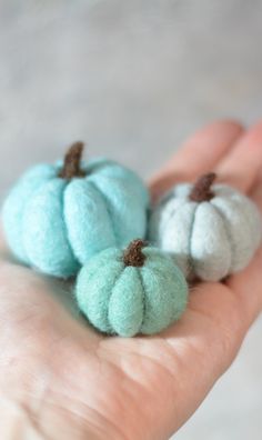 three small blue and white pumpkins sitting on someone's hand