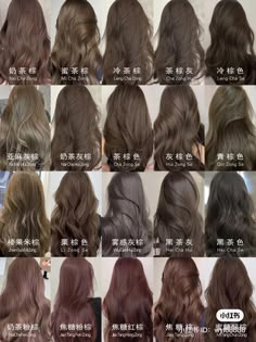 Subtle Hair Colors For Dark Hair, Ash Brown Vs Chocolate Brown, Asian Light Hair Color, Hair Dye Colors For Asians, Milktea Brown Hair Color Asian, Brown Hair Blue Undertone, Brown Hair Shades For Fair Skin, Milk Tea Brown Hair On Tan Skin, Dark Chocolate Ash Brown Hair