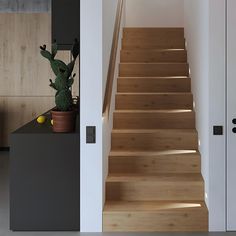 a wooden staircase leading up to a potted cactus on top of a black counter