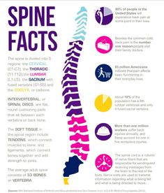 Chiropractic Marketing, Benefits Of Chiropractic Care, Cervical Pain, Nerve Health, Homeopathy Medicine, Spine Health, Family Doctors, Chiropractic Care