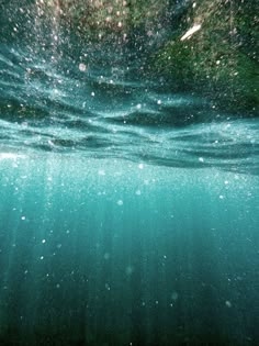 an underwater view of the surface of water