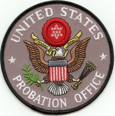 the united states emblem is shown on a white background and has an eagle with a red rose in it's center