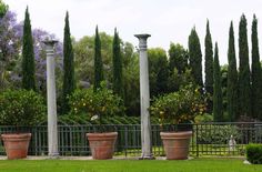 three large potted plants sitting on top of a lush green field next to tall trees