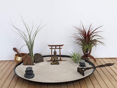 there is a tray with rocks and plants in it on the floor next to a potted plant