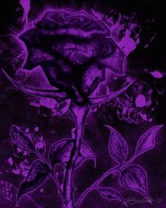 a drawing of a purple rose on a black background