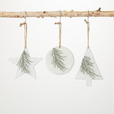 three ornaments hanging from a tree branch on a white background, one with pine needles and the other with snowflakes