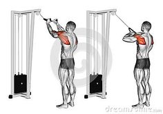 an image of a man doing exercises on the pull - ups exercise machine in three different positions