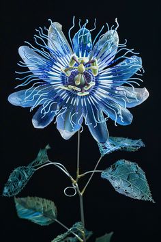 a blue flower with green leaves on a black background