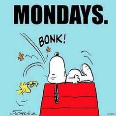 a snoopy cartoon character laying on top of a red box with the words monday's bonk