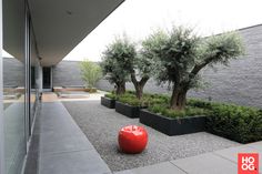 a red ball sitting in the middle of a courtyard next to some trees and bushes