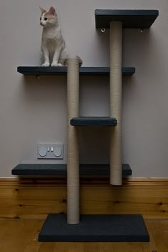 a white cat sitting on top of a cat tree