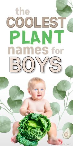 the coolest plant names for boys - picture of baby boy surrounded by green leaves and holding a big head of lettuce Names Nature, Flowers Name List, Name Combinations, First And Middle Names, Boy Name Meanings