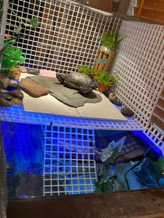 made out of egg crate and vipties Yellow Belly Turtle Tank Ideas, Turtle Tank Setup Ideas, Yellow Belly Turtle, Turtle Tub, Yellow Bellied Slider