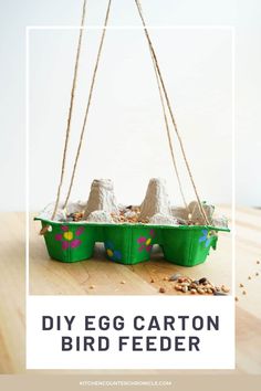 an egg carton bird feeder with two eggs in it and the words diy egg carton bird feeder