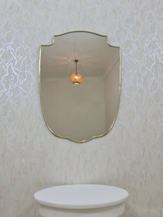 a white toilet sitting next to a wall with a mirror on it's side