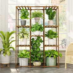 a shelf filled with potted plants next to a wicker chair