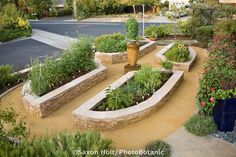 an outdoor garden area with various plants and flowers in the center, along side a road