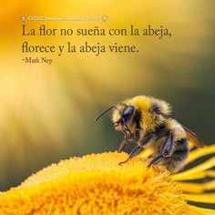 a bee sitting on top of a yellow flower next to a quote from mark kelp