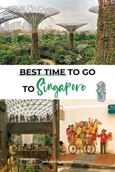 the gardens in singapore with text overlay that reads best time to go to singapore