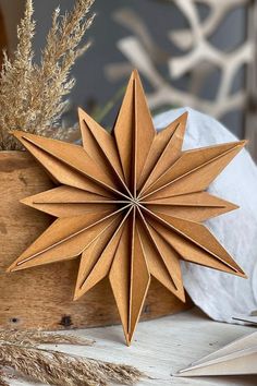 an origami star sitting on top of a table next to some dried plants