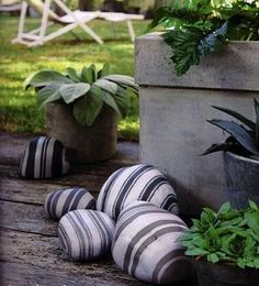 some black and white striped balls sitting on the ground next to potted planters