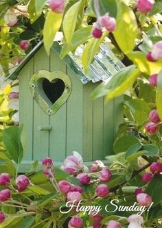 a bird house with a heart shaped window