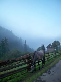 a horse grazing on grass next to a wooden fence in the middle of a foggy field