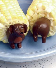 two small chocolate dogs are in the corn on the cob