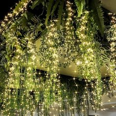 some lights that are hanging from the ceiling in front of a wall with plants growing on it