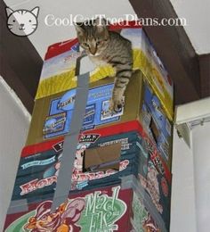 a cat sitting on top of several boxes that are stacked high up in the air