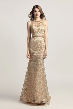 Prom Dress Pictures, Gown Gold, Evening Party Gowns, Elegant Prom Dresses, Lace Evening Dresses, Party Gowns, Evening Dresses Long, Formal Evening Dresses, Prom Dresses Long