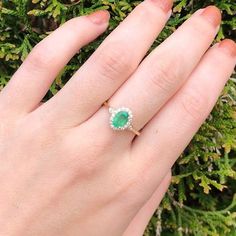 This beautiful dainty ring features a Zambian emerald in solid 14k yellow gold. A classic ring design perfect for daily wear, work or engagement. Green 14k Gold Promise Ring, Green Diamond Ring With 14k Gold Prong Setting, 14k Gold Emerald Cut Rings For May Birthstone, 14k Gold Green Diamond Ring With Prong Setting, Elegant 14k Stamped Emerald Ring, 14k Gold Emerald-cut Cluster Ring With Halo Design, 14k Gold Emerald-cut Halo Cluster Ring, 14k Gold Emerald Cut Cluster Ring With Halo Design, 14k Gold Emerald Cut Halo Cluster Ring