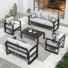 a group of couches and chairs sitting on top of a cement floor next to a cactus