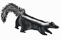 an animal with feathers on it's tail is shown in this pixellated image