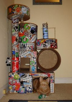 a cat is sitting in the corner of a room with many stickers on it