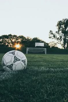 a soccer ball sitting on top of a lush green field