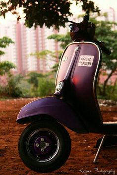 a purple scooter parked in front of a tree