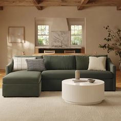 a living room with a couch, coffee table and potted plant in the corner