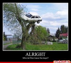 a car is stuck in a tree with the caption alright who let ron have the keys?