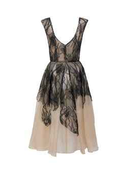 Nude silk organza dress with French lace Fastens with black buttons at the front Composition: 100% Silk / Lace 60% Polyamide 40% Cotton Dry Clean OnlyFit and Model SizeModel wears UK size 6 and is 5'8'' (172cm) Fits true to size, however those who are between sizes should take the larger size Light weight fabric, non stretch Designed to be fitted at bust and waist Silk Organza Dress, Organza Dress, Silk Lace, Silk Organza, French Lace, Black Button, Coat Dress, High Low Dress, Accessories Design