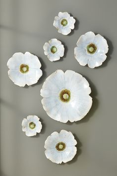 five white flowers are arranged on the wall