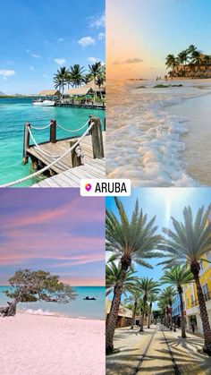 four different pictures with palm trees on the beach and water in the ocean at sunset